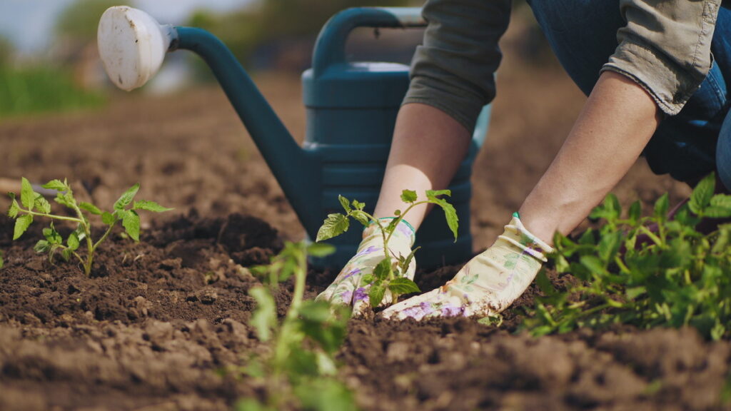 Tips to Avoid Aches and Pains While Gardening