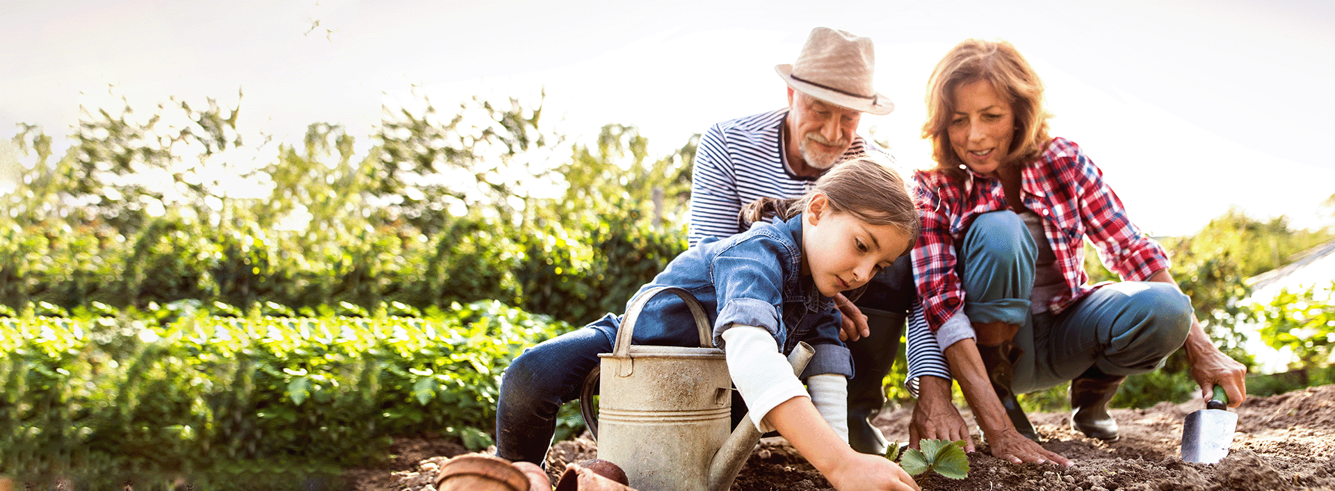 main-street-physical-therapy-akron-oh-homepage-gardening-lifestyle-slider